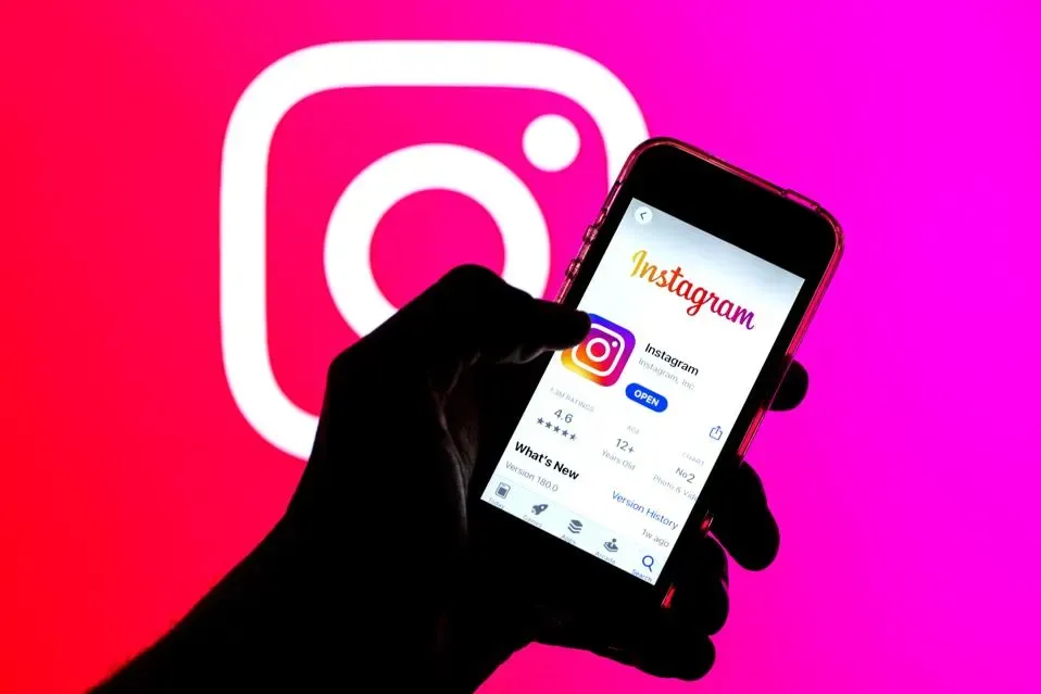 Sledujte naše odchovy na Instagramu!