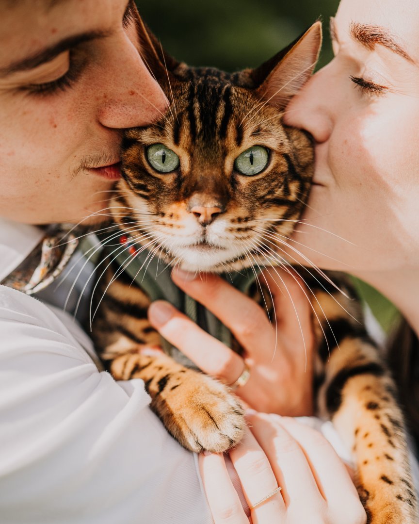 Plánované vrhy 2026 zveřejníme v prosinci!