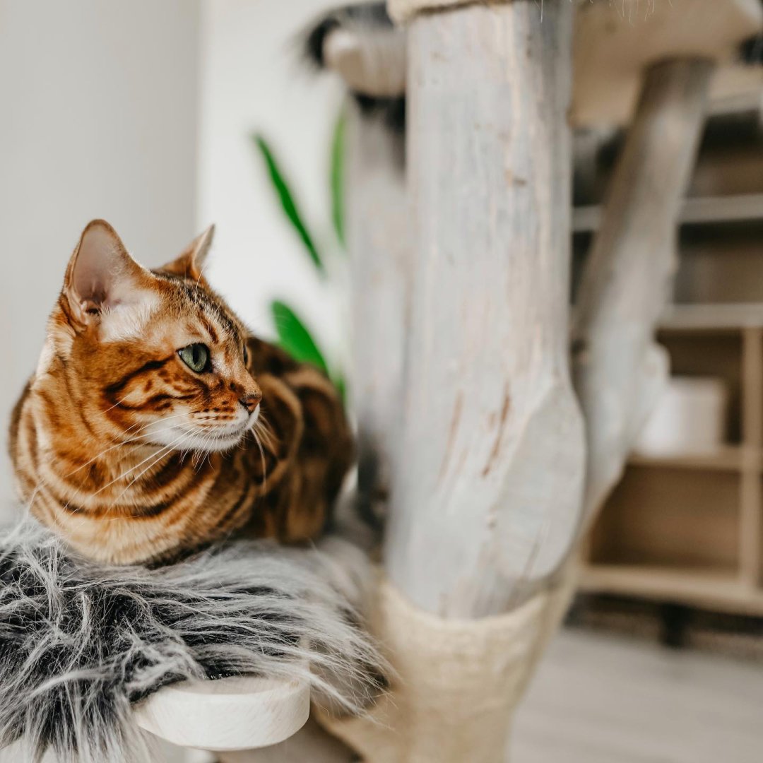 Podstoupili jsme kontrolu srdce: s negativním výsledkem!